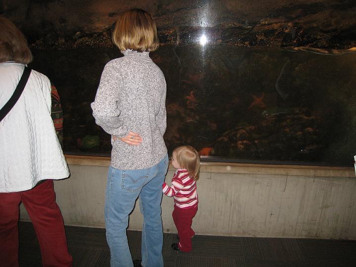 Seattle Aquarium 05.JPG